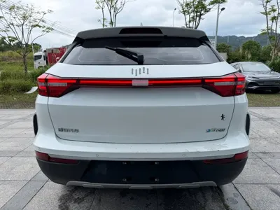 WM Motor EX5