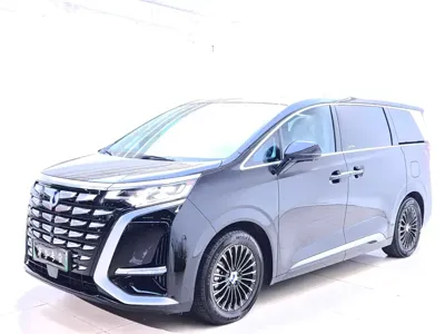 Denza Denza D9