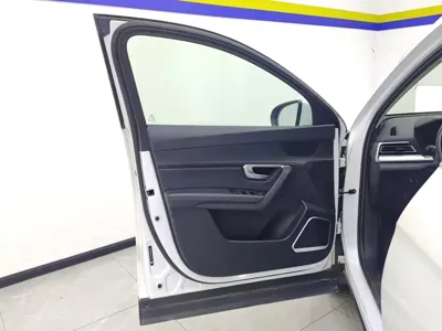 BYD Pro
