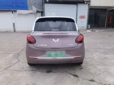 Wuling Bingo