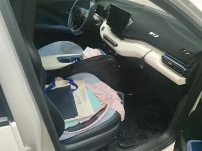 BYD Seagull