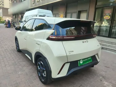 BYD Seagull