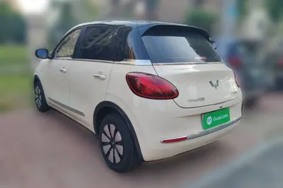 Wuling Bingo