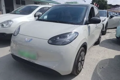 Wuling Bingo