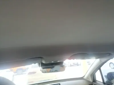 NETA Neta V