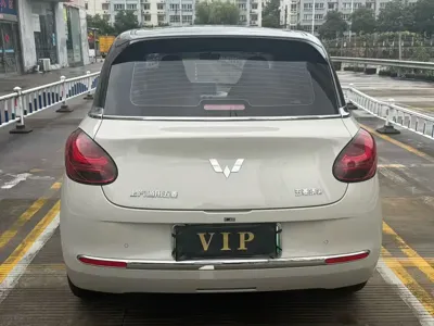 Wuling Bingo