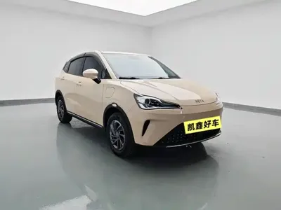NETA Neta AYA