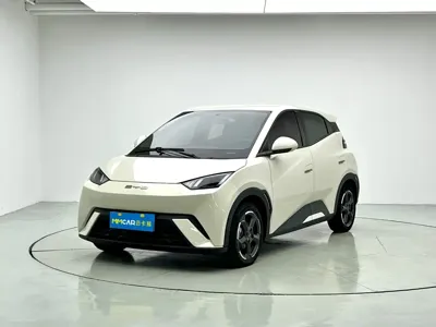 BYD Seagull