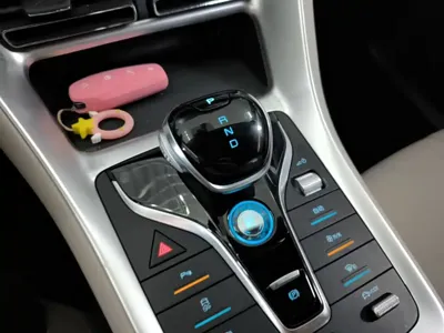 BYD Pro New Energy