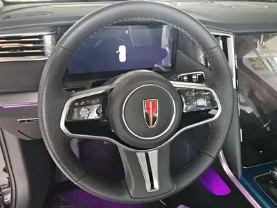 Hongqi Hongqi HS7 PHEV