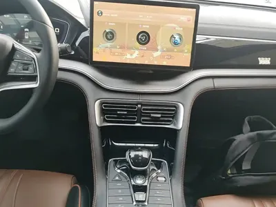 BYD PLUS