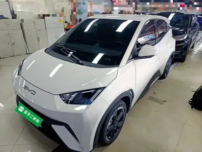 BYD Seagull