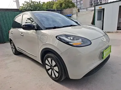 Wuling Bingo