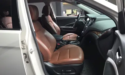 Hyundai Maxcruz