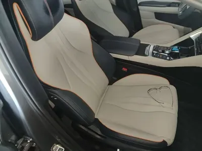 BYD PLUS New Energy