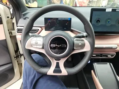 BYD Seagull