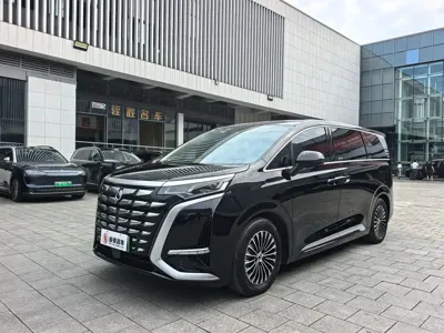 Denza Denza D9