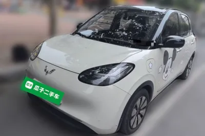 Wuling Bingo