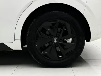 BYD D1