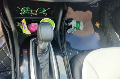 Honda Envix