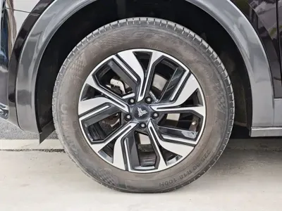 NETA Neta U
