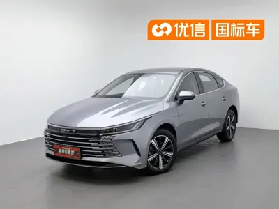 BYD Destroyer 05