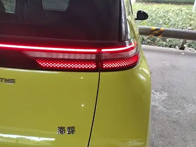 BYD Seagull