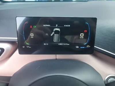 BYD Seagull
