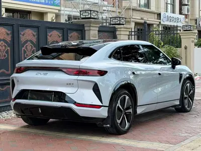 BYD L EV