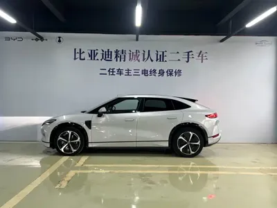 BYD L EV