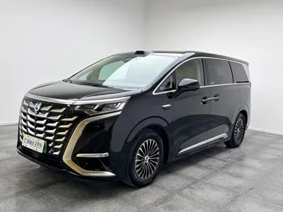 Denza Denza D9