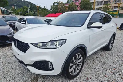 WEY VV6