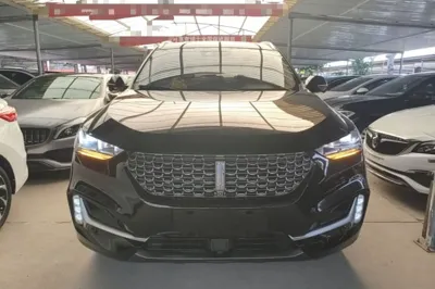 WEY VV6