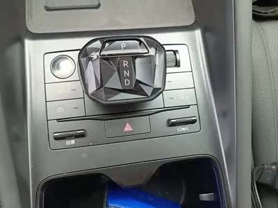 BYD L EV