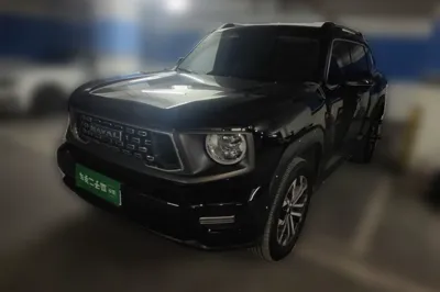 Haval H Dog
