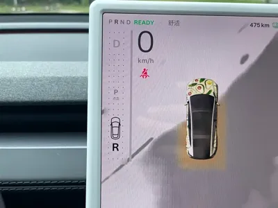 Tesla Model Y L