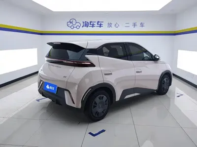 BYD Seagull