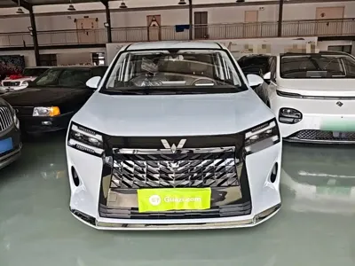 Wuling 星光730新能源