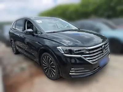 Volkswagen Viloran