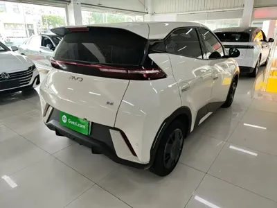 BYD Seagull