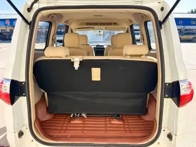 BAW Weiwang M20