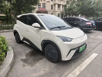 BYD Seagull