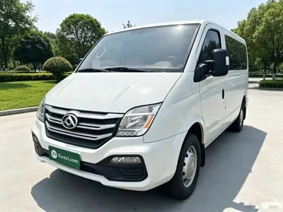 Maxus V80