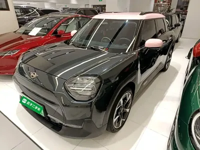 MINI MINI ACEMAN EV
