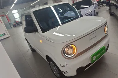 Geely Galaxy Panda