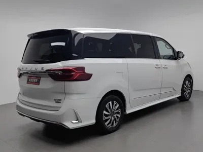 大通 G20