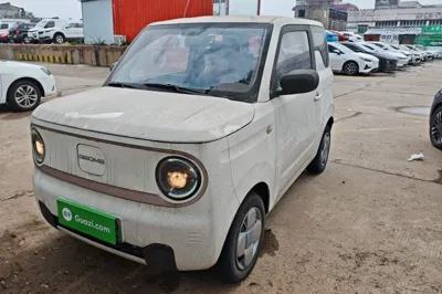 Geely Galaxy Panda