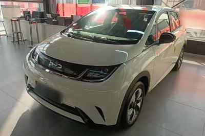 BYD Dolphin