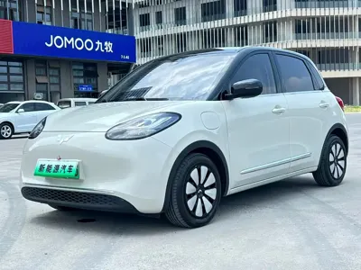 Wuling Bingo