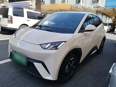 BYD Seagull